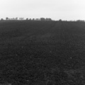 2016-003-05.jpg