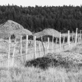 20160828_174122_DSC8681.jpg