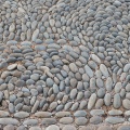 20150830_155553_DSC3596.jpg