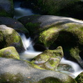 20150912_120338_DSC4011.jpg