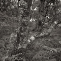20190923_101538_DSC4139_F4.jpg