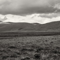20190925_102246_DSF1508_F4.jpg
