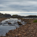 20190923_121520_DSC8325_F4.jpg
