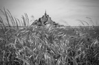 Le Mont Saint-Michel