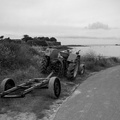 darktable.4HWX80.jpg